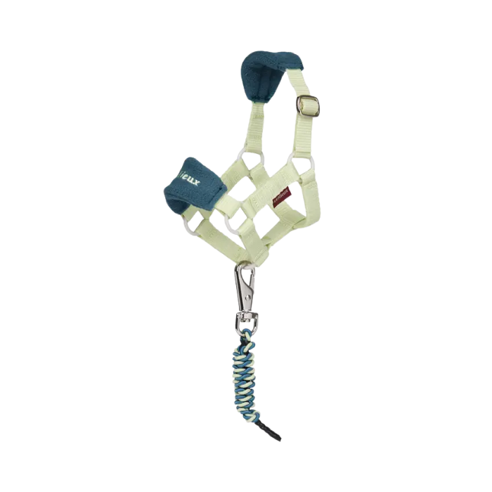 toy green pony halter and leadrope on a white background