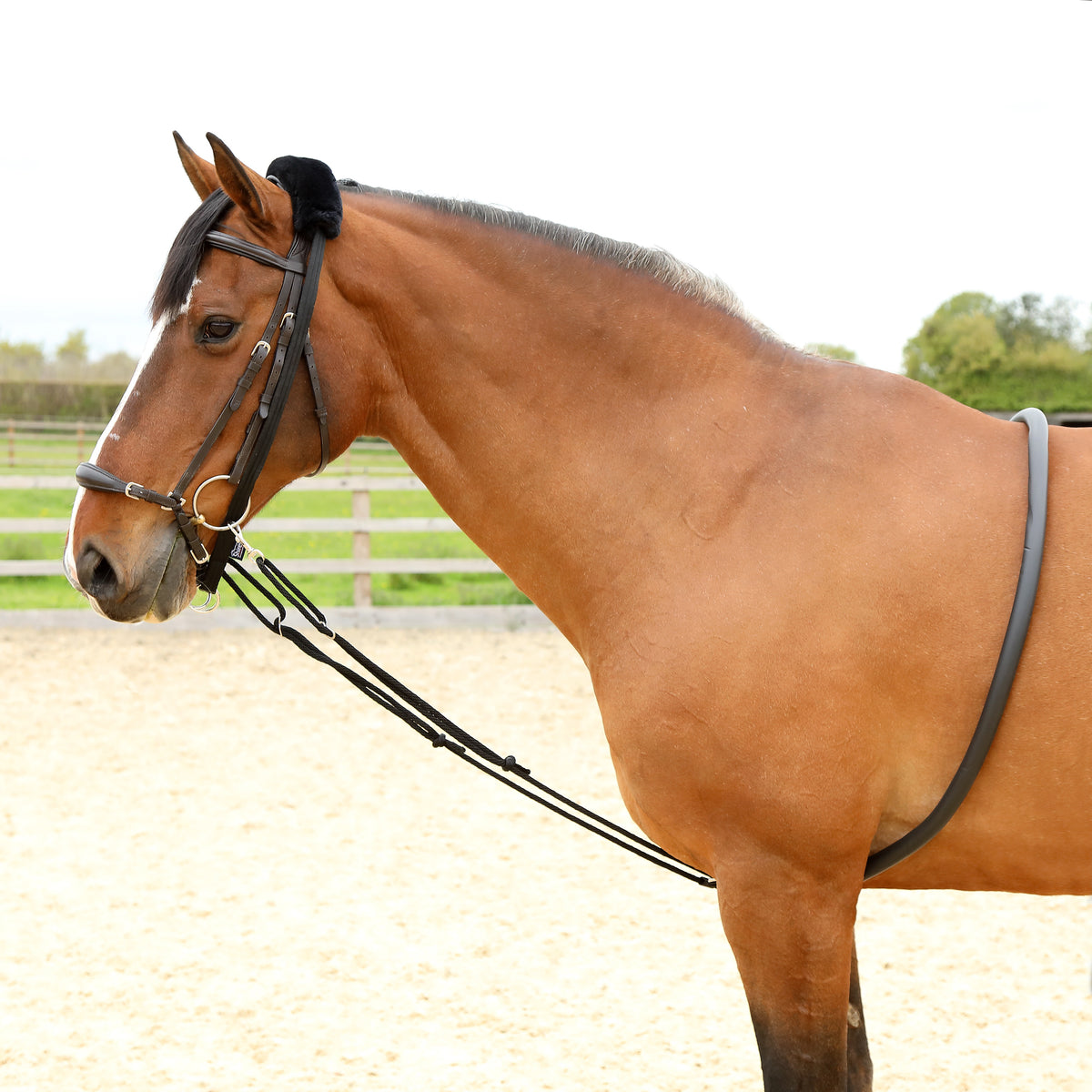 Shires Soft Lunging Aid