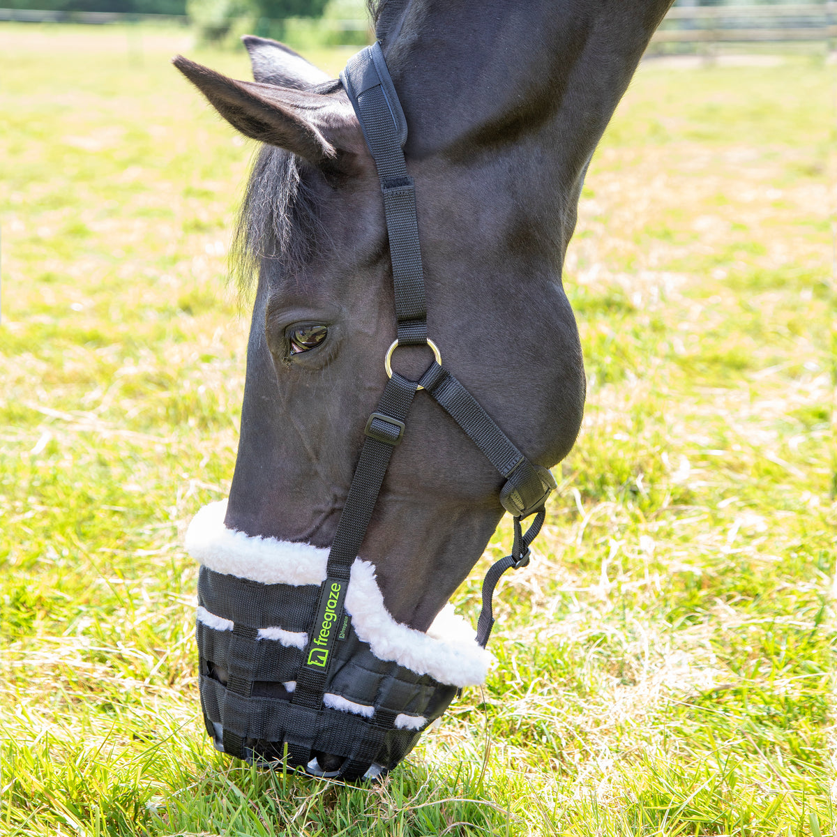 Shires Deluxe Comfort Grazing Muzzle