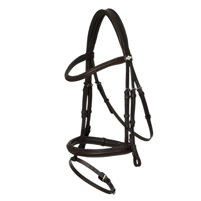 Brown horse bridle on a light gray background