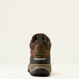 Ariat Ladies Terrain Trek H20 Variant Dark Chocolate. A brown and tan mid-height hiking boot shown from the rear, featuring a dark gray heel counter and a tan outsole, photographed against a clean off-white background.