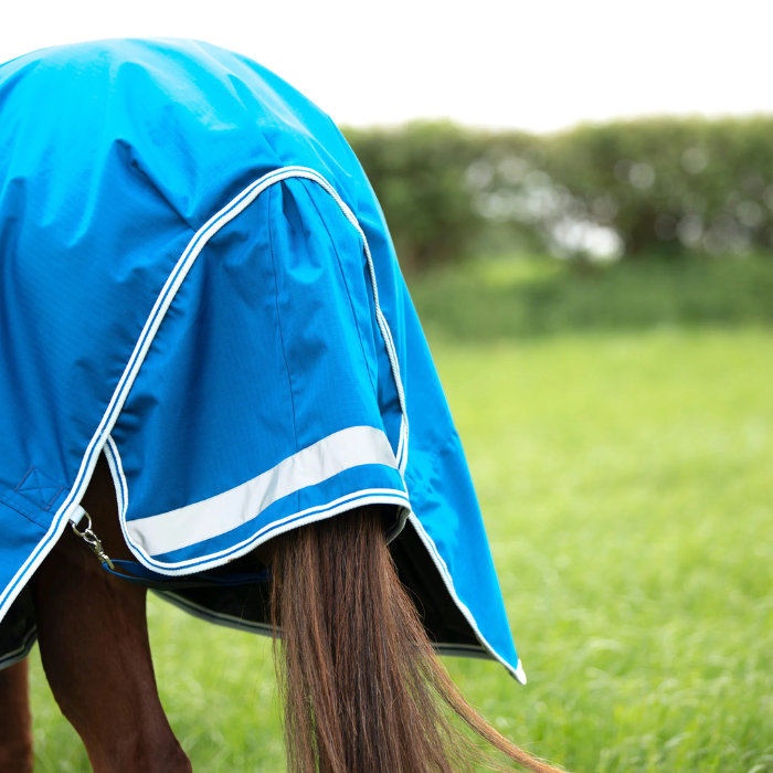 A bright blue horse turnout blanket with white trim is shown on a horse in a grassy field.