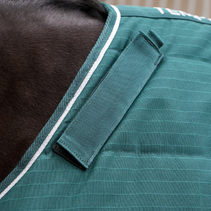 Close-up of a horse wearing a green striped blanket with white trim and a black strap, showing the horse's dark brown fur and the fabric texture.