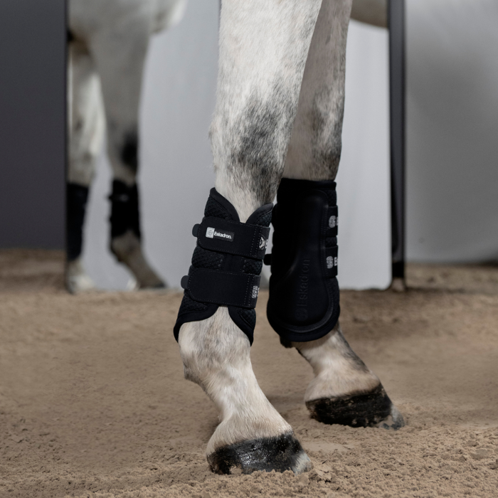 Navy horse leg boots and wraps worn on a dapple horse's legs, standing in a sandy arena.