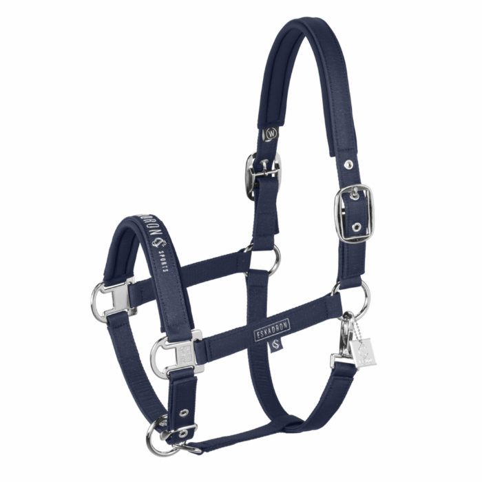 Blue horse halter on white background
