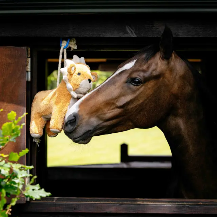 Horse looking at a lion plush toy hanging in a stable window