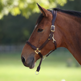 Shires Velociti Lusso Soria Control Leather Headcollar in Havana