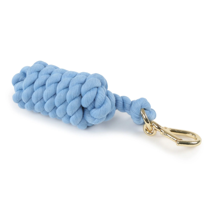 Baby Blue leadrope with gold clip on a white background. 