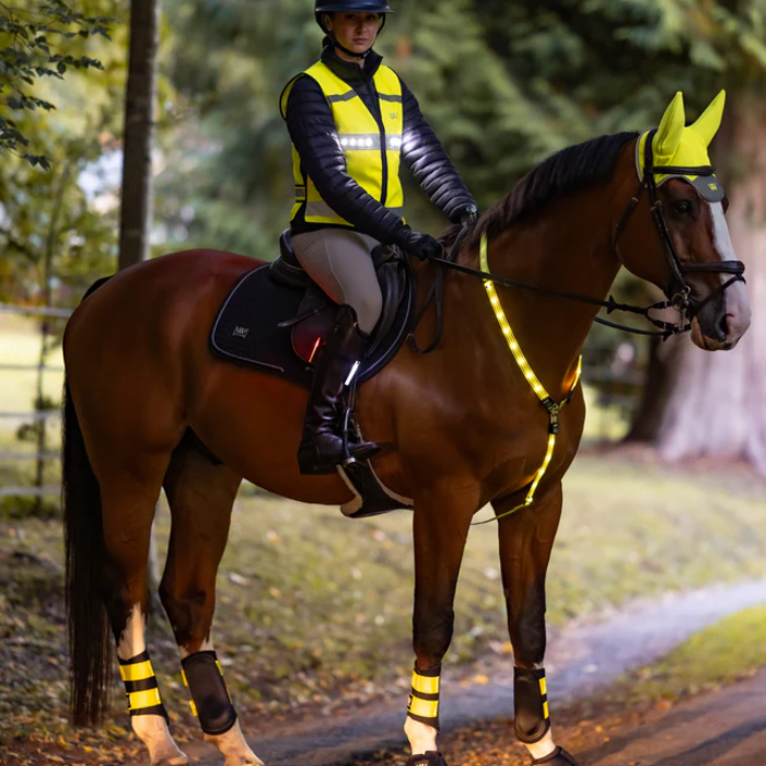Horse rider on a brown horse wearing reflective gear in a forest setting