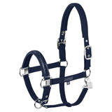 Navy horse halter on white background
