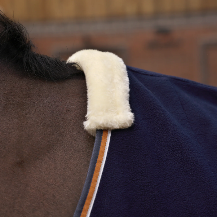Close-up of a horse wearing a blue blanket with a white patch on its back.