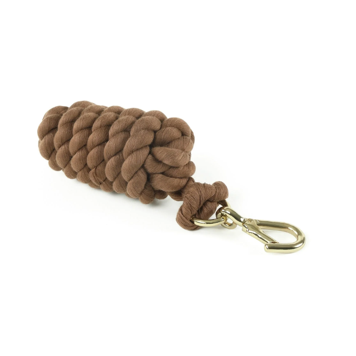 Brown leadrope with gold clip on a white baclground. 