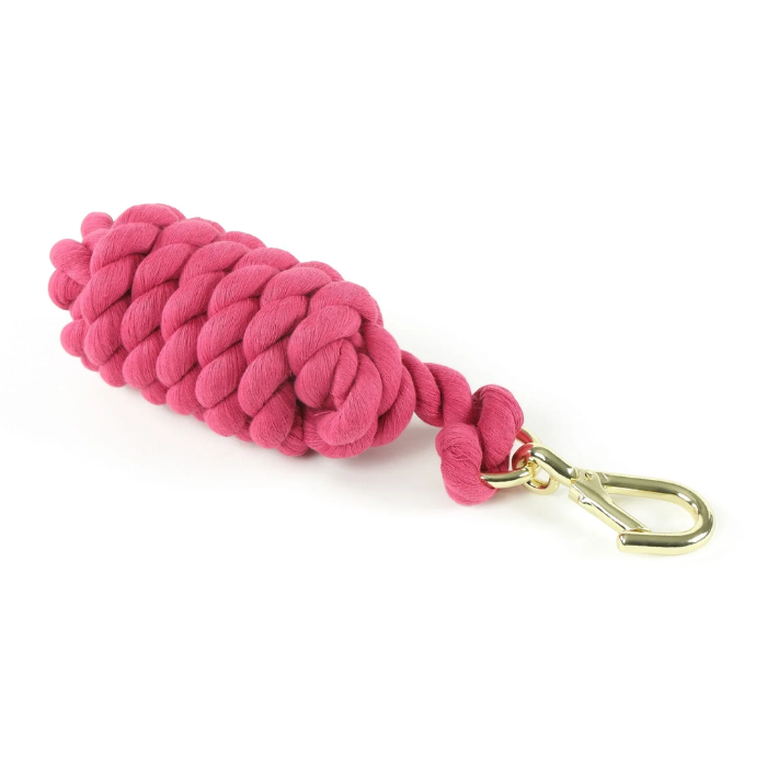 Pink leadrope with gold clip on a white background. 