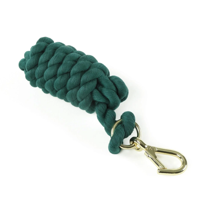 Green leadrope with gold clip on a white background. 