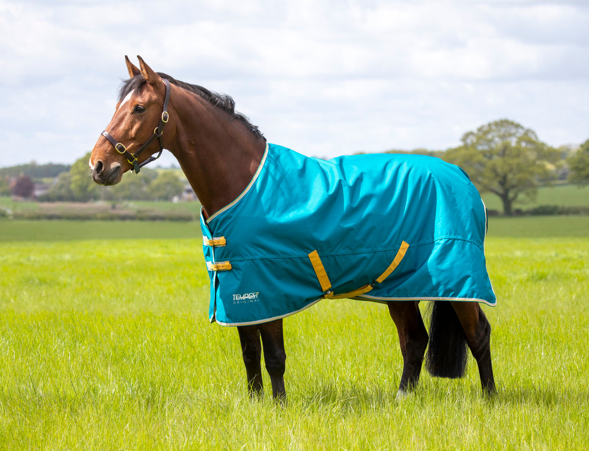 Shires Tempest Original 50 Rug