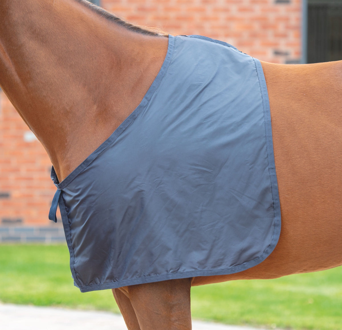 Shires Satin Anti-Rub Bib