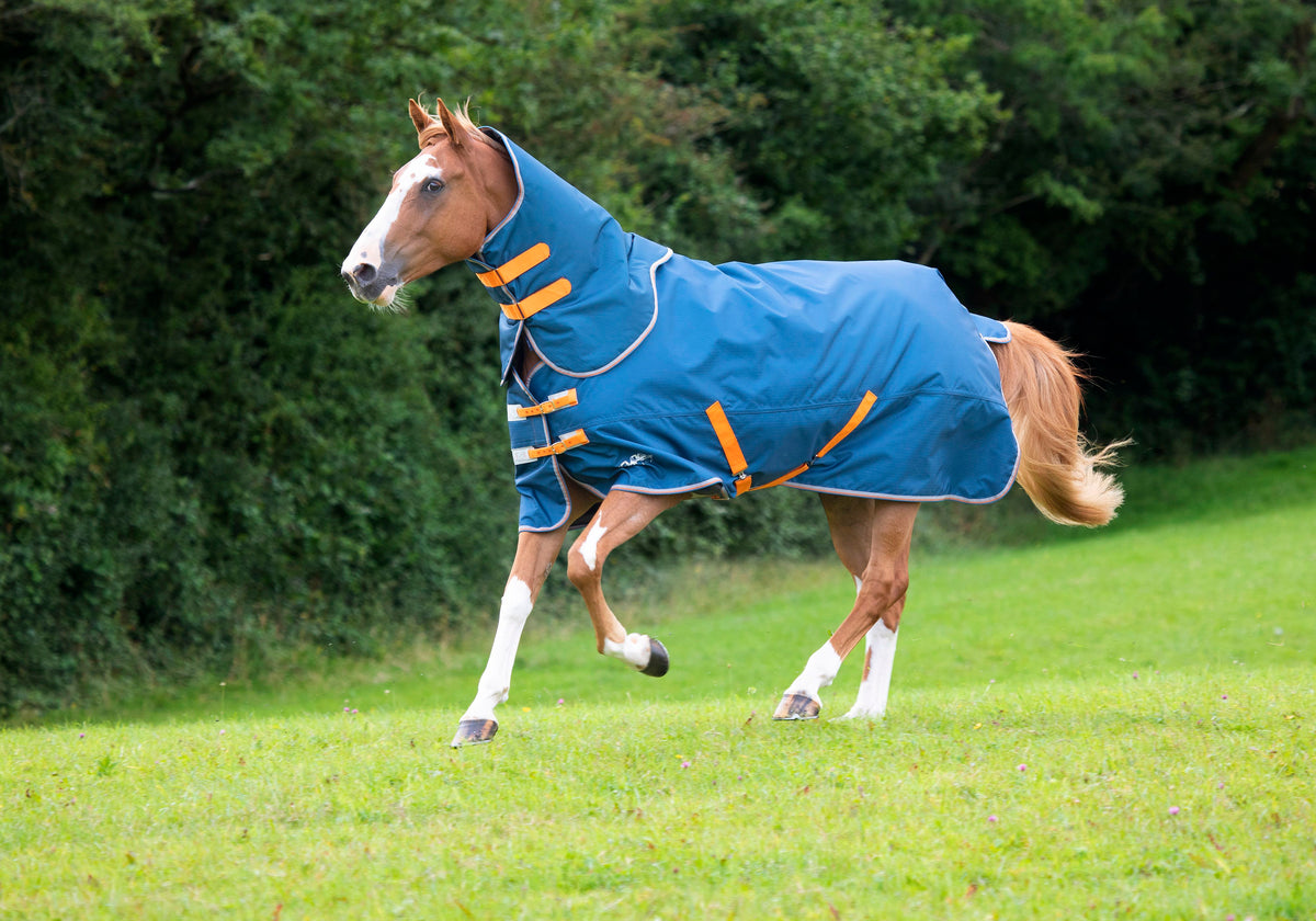 Shires Tempest Original Lite Turnout Rug & Neck