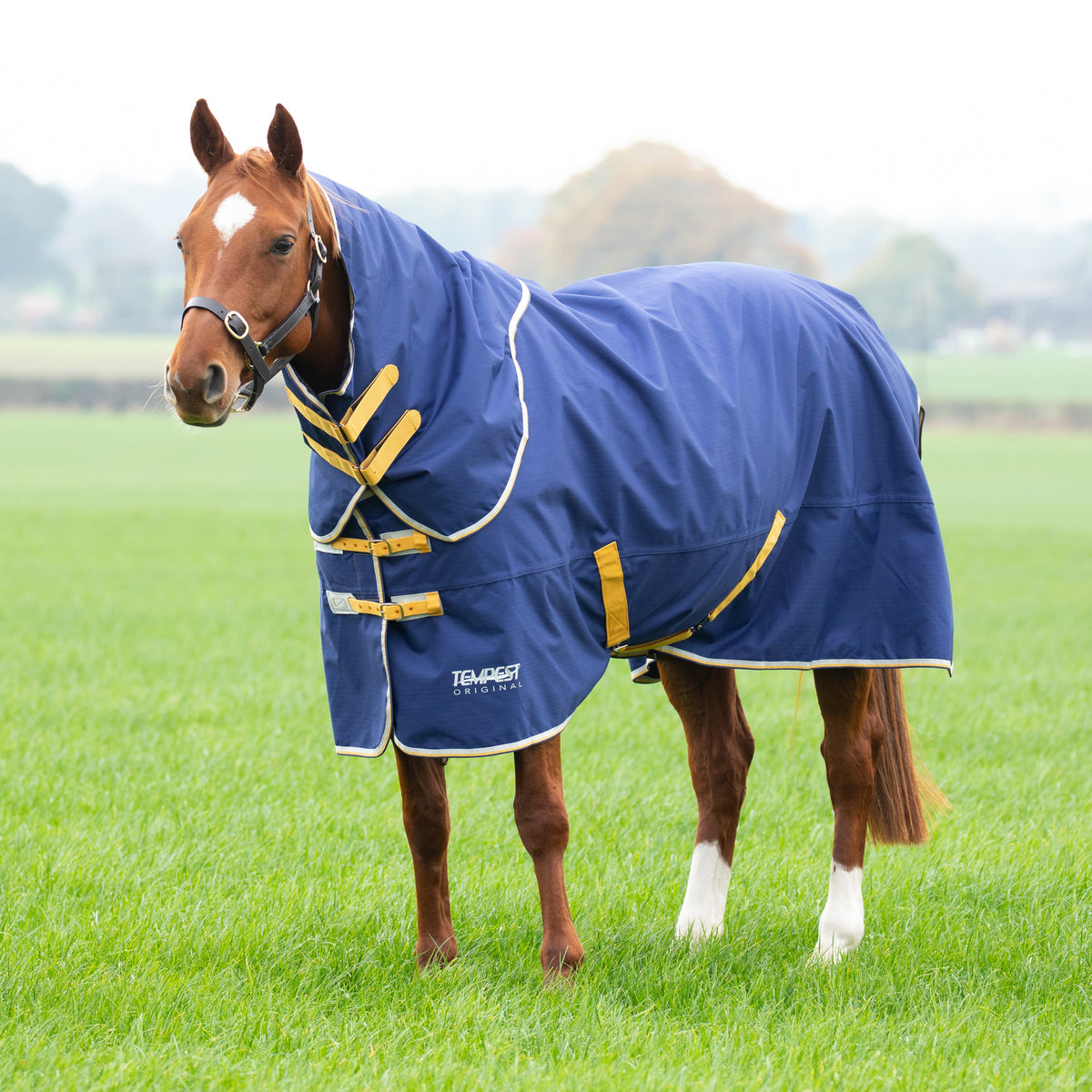 Shires Tempest Original 50g Turnout Rug & Neck