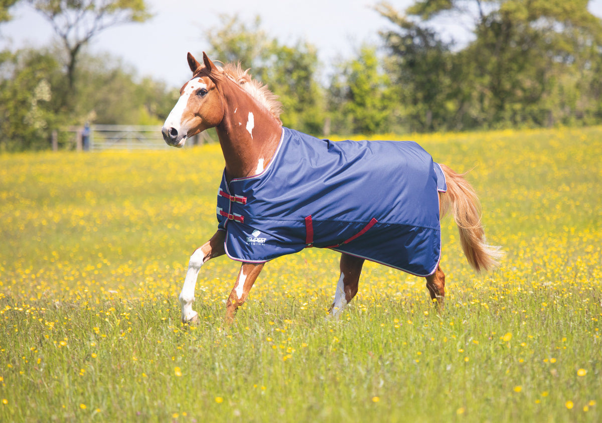 Shires Tempest Original Air Motion Turnout Rug