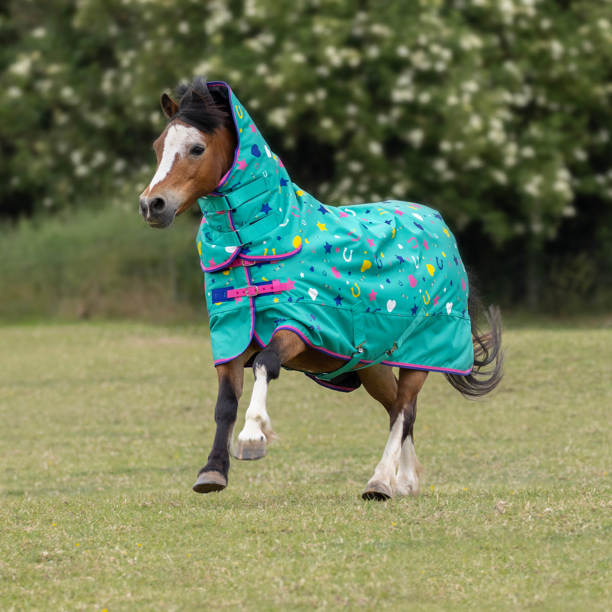 Shires Tikaboo 200g Combo Turnout Rug