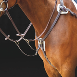 Shires Salisbury Five Point Breastplate Vairant Colour Australian Nut
A light brown horse wearing a brown martingale and breastplate with reins on dark background