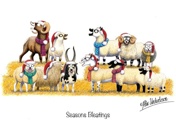 Alex Underdown 'Seasons Bleatings' Christmas Card