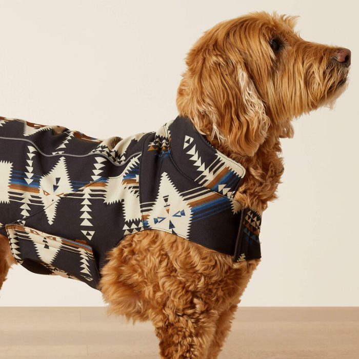 Dog wearing a patterned coat on a plain background