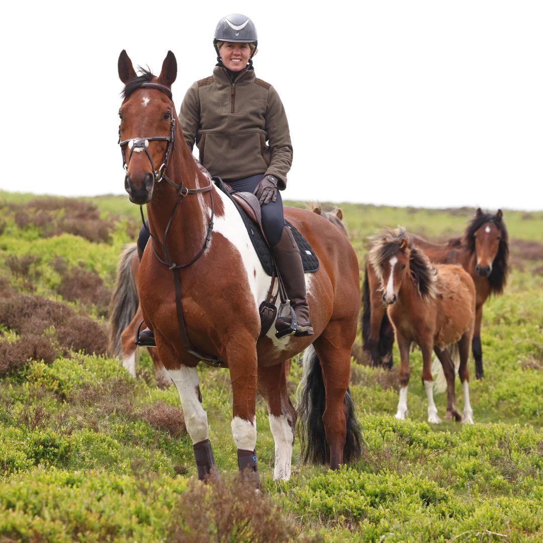Person riding a horse with other horses in a grassy field