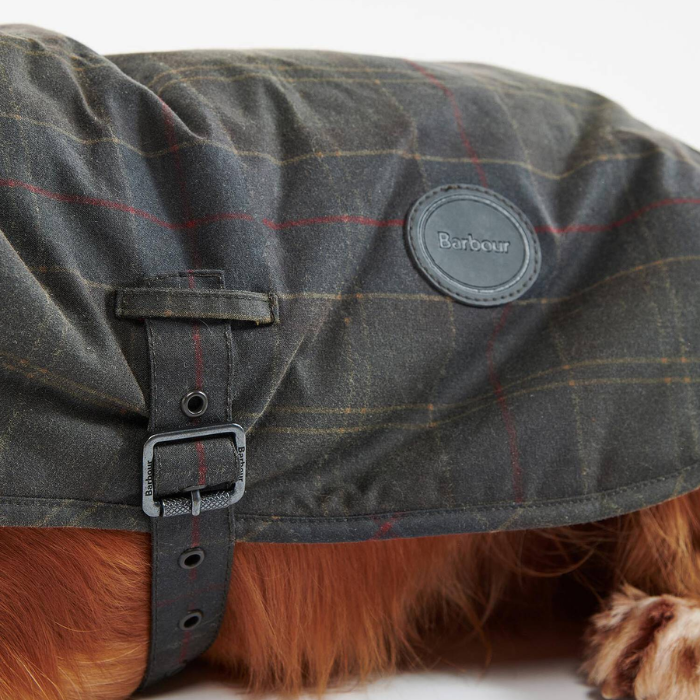 Close-up of a waxed dog coat in green on a white background