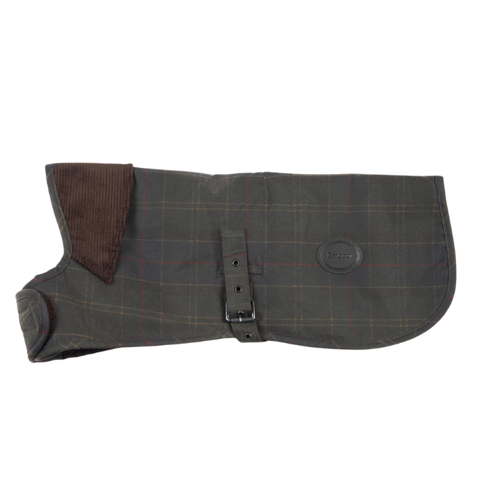 Green waxed cotton dog coat on a white background