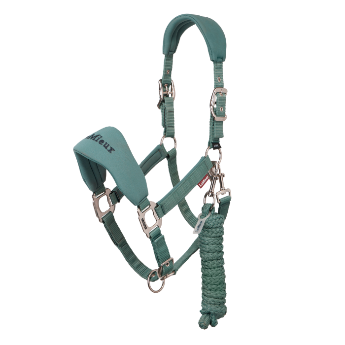 LeMieux AW26 Breakaway Vogue Headcollar & Leadrope Variant Colour Aloe.
A aloe green horse halter with silver metal hardware and a matching braided lead rope, shown against a plain white background.