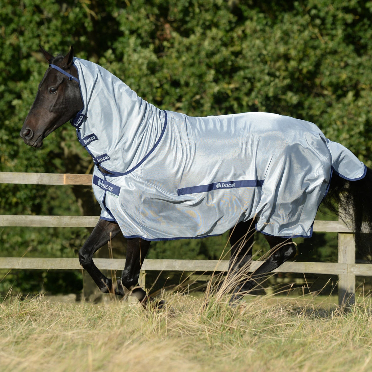 Bucas Buzz-Off Full Neck Fly Rug