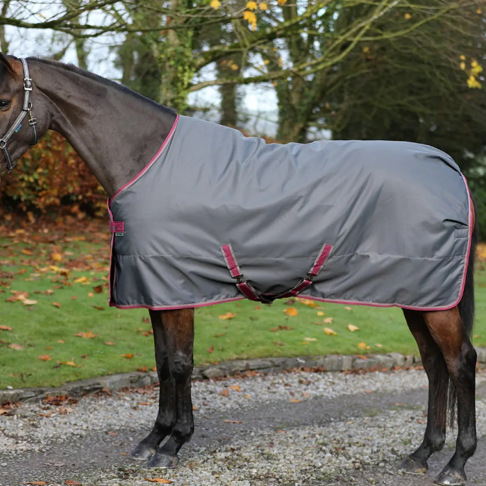 Horse wearing a grey rug with pink trim in an outdoor setting