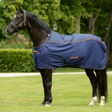 Dark brown horse wearing a blue rug with orange trim in an outdoor setting