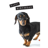 Charles Sainsbury-Plaice Dachshund Happy Birthday Card