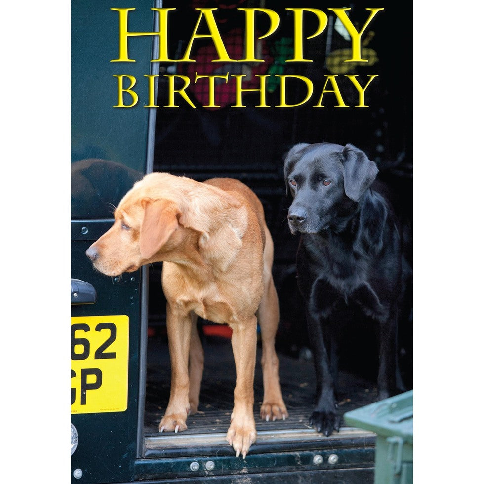 Charles Sainsbury-Plaice Fox Red & Black Labrador Happy Birthday Card
