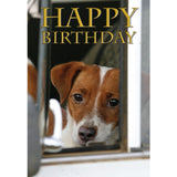 Charles Sainsbury-Plaice Jack Russell Happy Birthday Card