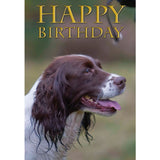 Charles Sainsbury-Plaice Springer Spaniel Happy Birthday Card