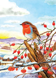 David Thelwell 'Christmas Robin' Greeting Card