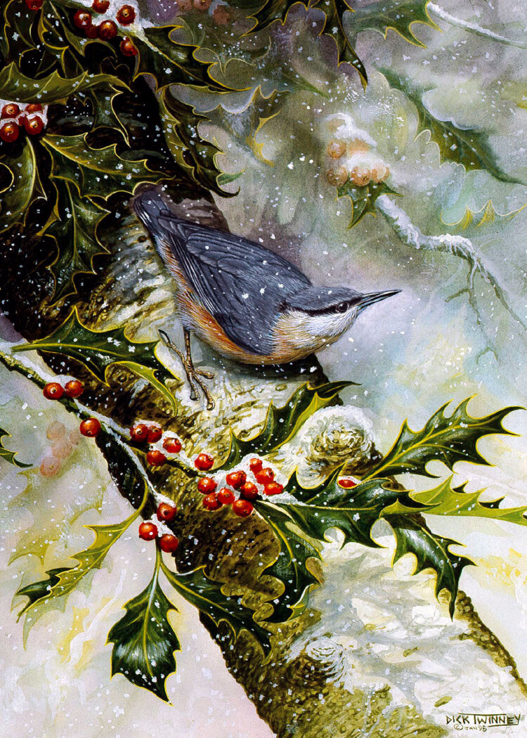 Dick Twinney 8 Wildlife Christmas Cards