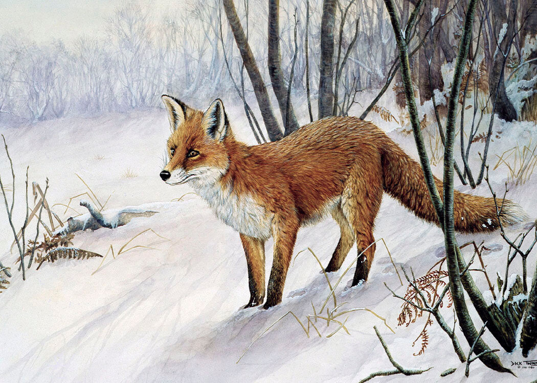 Dick Twinney 8 Wildlife Christmas Cards