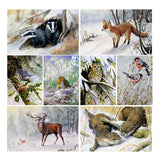 Dick Twinney 8 Wildlife Christmas Cards