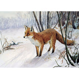 Dick Twinney Fox Christmas Card