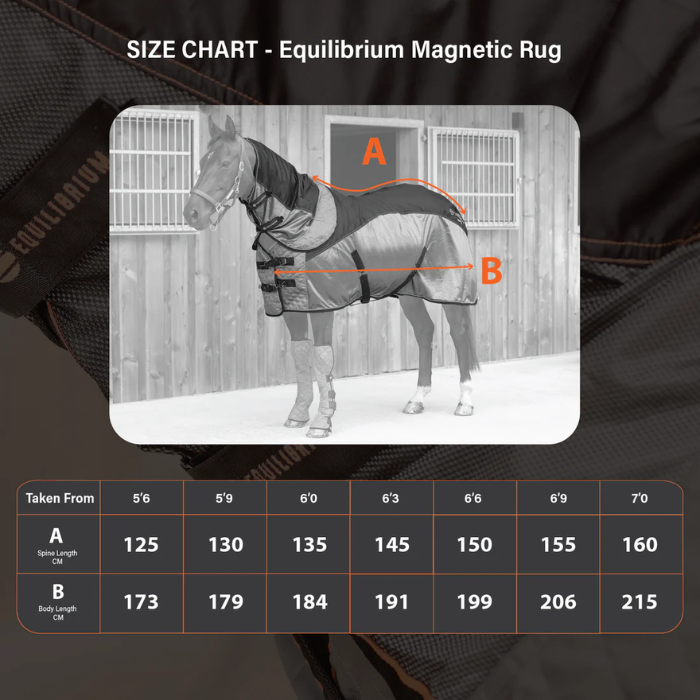 Size chart for Equilibrium Magnetic Rug with a horse illustration and measurement details.
