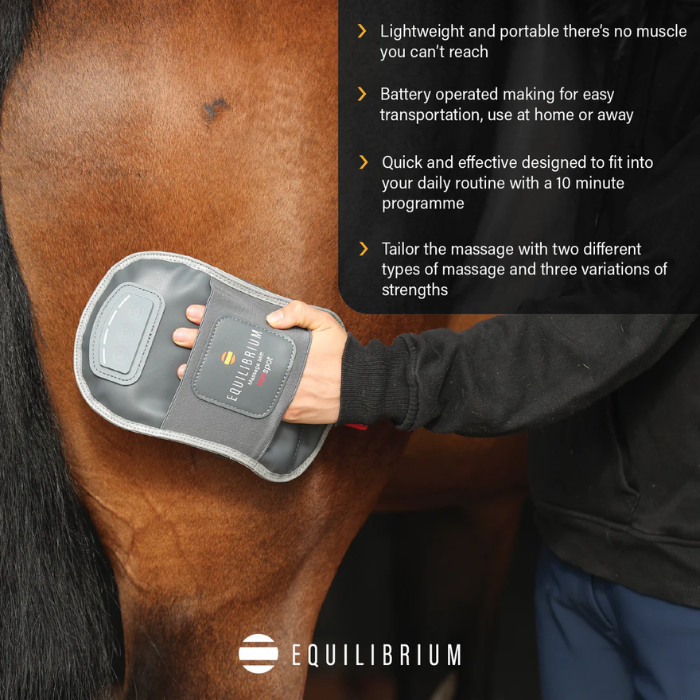 Person using a battery-operated massage device on a horse's leg with Equilibrium branding.