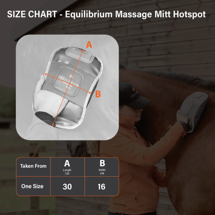 Size chart for Equilibrium Massage Mitt Hotspot with a person using the product on a horse.