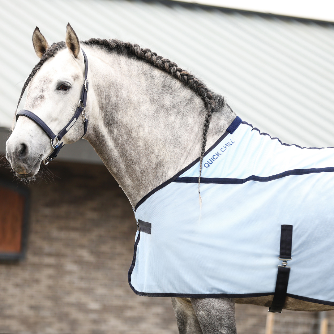 Equilibrium Quick Chill Cool Rug in Light Blue