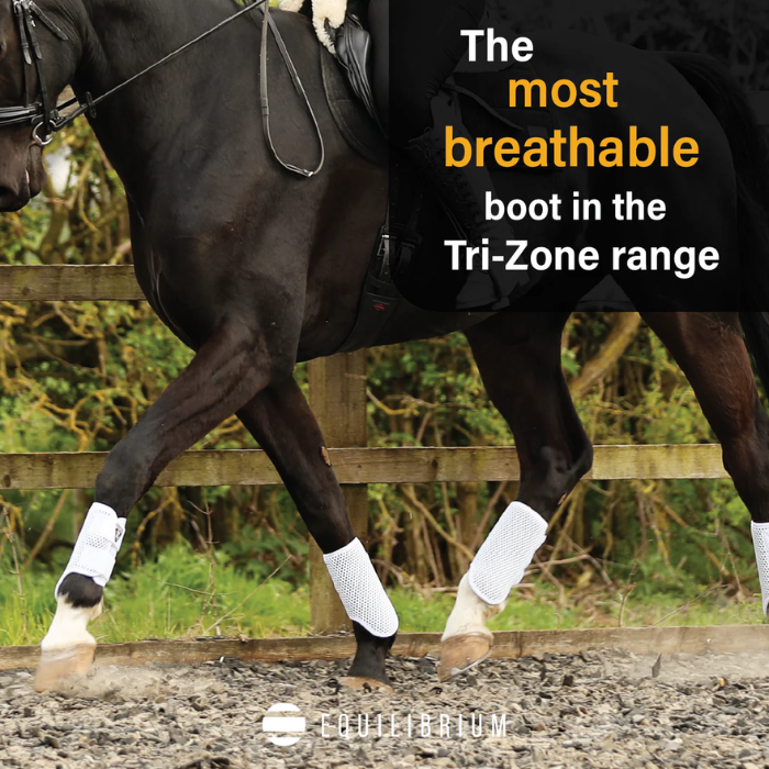 Horse wearing a white leg boot with text about the most breathable boot in the Tri-Zone range, Equilibrium brand visible.