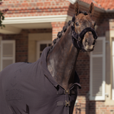 Horse wearing a black blanket with a blurred brick building in the background