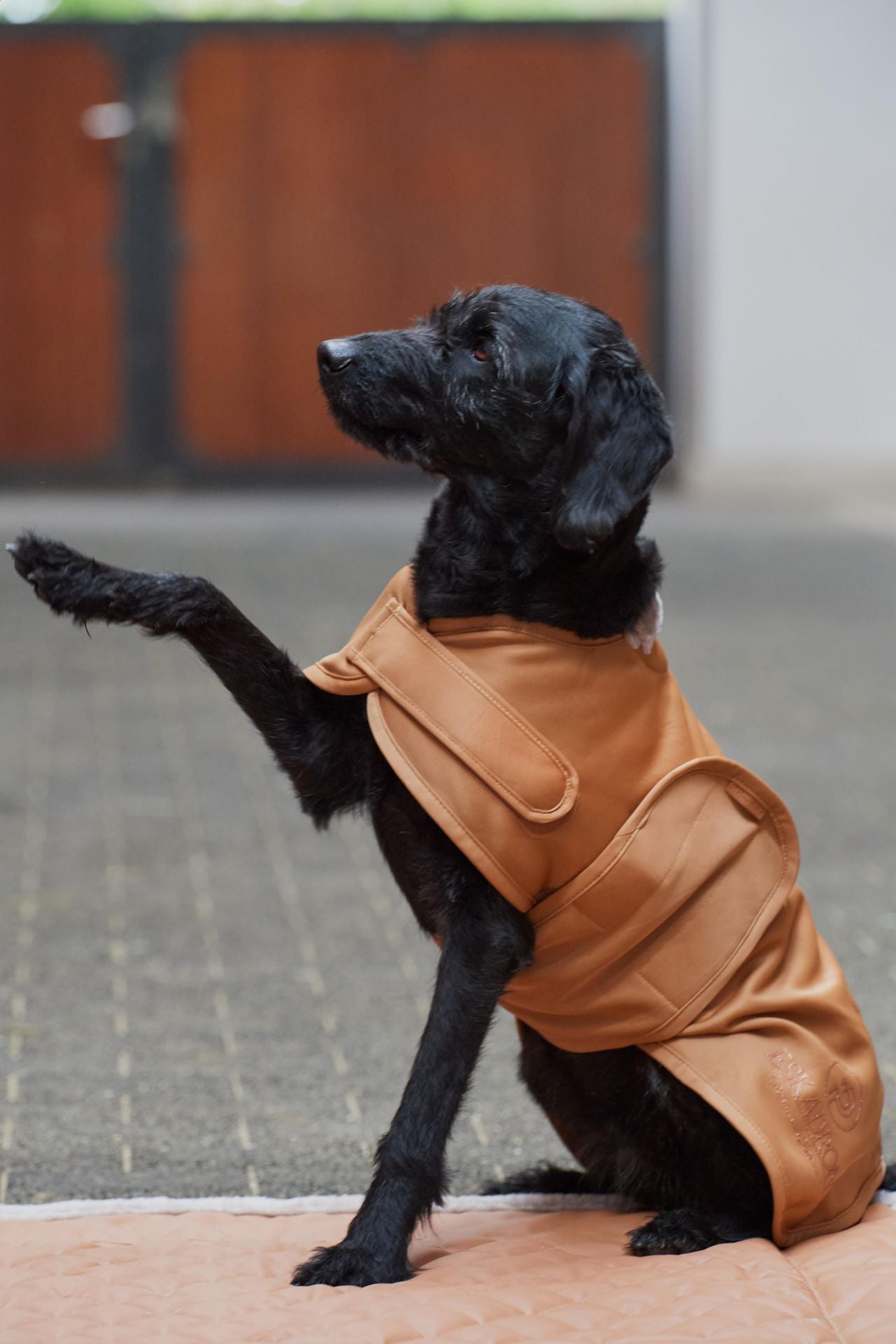 Eskadron Platinum Softshell Dog Coat